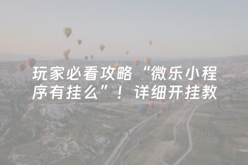 玩家必看攻略“微乐小程序有挂么”！详细开挂教程（确实真的有挂)-知乎