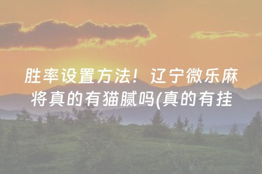 胜率设置方法！辽宁微乐麻将真的有猫腻吗(真的有挂确实有挂)