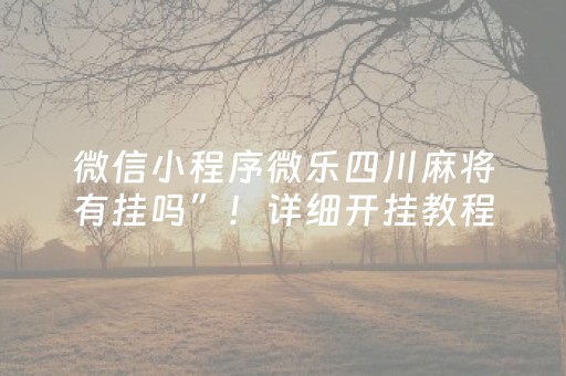 微信小程序微乐四川麻将有挂吗”！详细开挂教程（确实真的有挂)-知乎