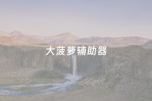 大菠萝辅助器（大菠萝服务器）