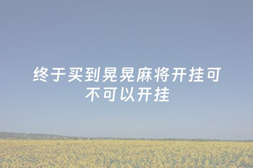 终于买到晃晃麻将开挂可不可以开挂（晃晃麻将玩法介绍在哪里看）
