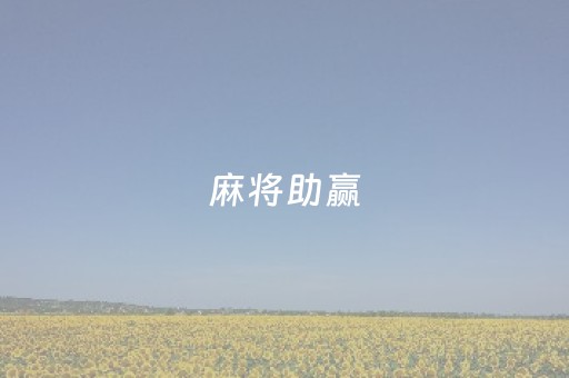 麻将助赢（麻将助手免费）
