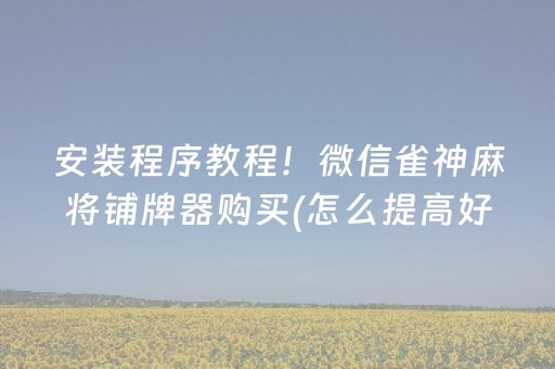 安装程序教程！微信雀神麻将铺牌器购买(怎么提高好牌几率)