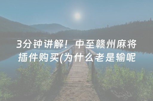 3分钟讲解！中至赣州麻将插件购买(为什么老是输呢)