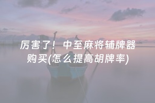 厉害了！中至麻将辅牌器购买(怎么提高胡牌率)
