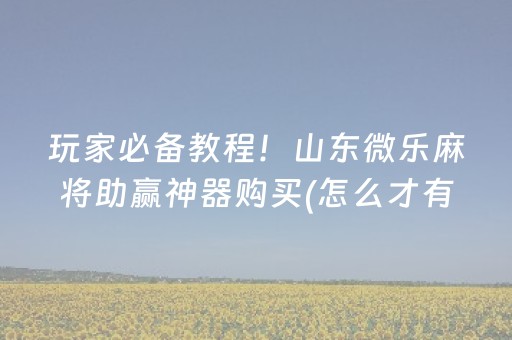玩家必备教程！山东微乐麻将助赢神器购买(怎么才有赢的几率)