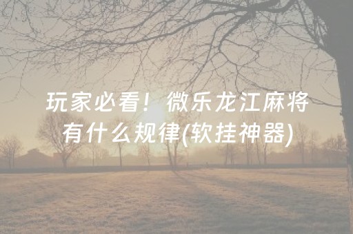 玩家必看！微乐龙江麻将有什么规律(软挂神器)