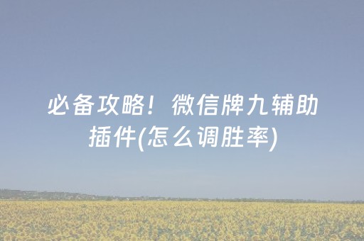 必备攻略！微信牌九辅助插件(怎么调胜率)