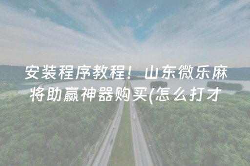 安装程序教程！山东微乐麻将助赢神器购买(怎么打才能赢)