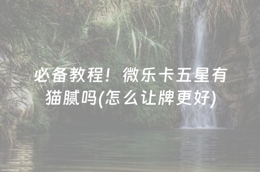 必备教程！微乐卡五星有猫腻吗(怎么让牌更好)