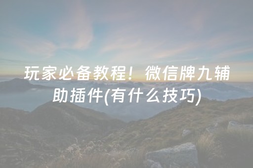 玩家必备教程！微信牌九辅助插件(有什么技巧)