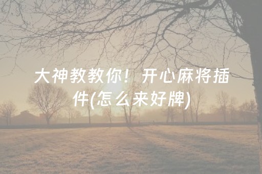 大神教教你！开心麻将插件(怎么来好牌)