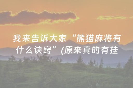 我来告诉大家“熊猫麻将有什么诀窍”(原来真的有挂)-知乎