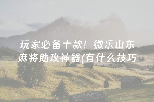 玩家必备十款！微乐山东麻将助攻神器(有什么技巧)