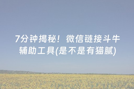 7分钟揭秘！微信链接斗牛辅助工具(是不是有猫腻)