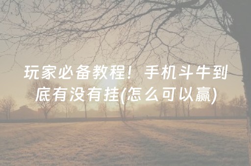 玩家必备教程！手机斗牛到底有没有挂(怎么可以赢)