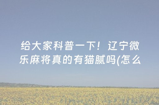 给大家科普一下！辽宁微乐麻将真的有猫腻吗(怎么来好牌)