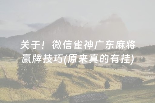 关于！微信雀神广东麻将赢牌技巧(原来真的有挂)