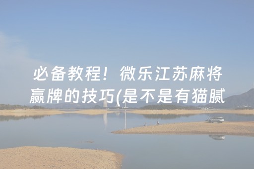 必备教程！微乐江苏麻将赢牌的技巧(是不是有猫腻)