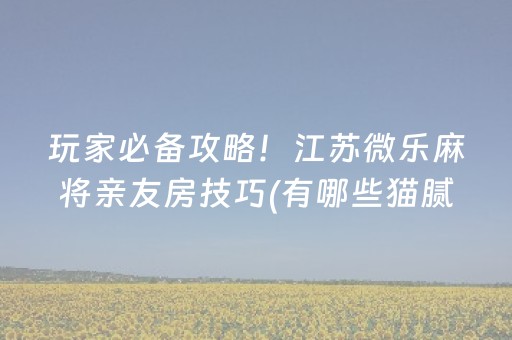 玩家必备攻略！江苏微乐麻将亲友房技巧(有哪些猫腻)