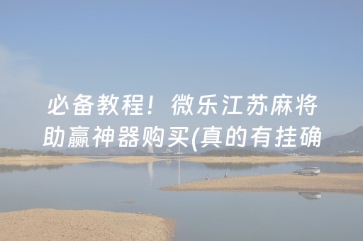 必备教程！微乐江苏麻将助赢神器购买(真的有挂确实有挂)