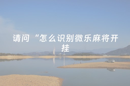 请问“怎么识别微乐麻将开挂（如何看微乐麻将是不是开挂）