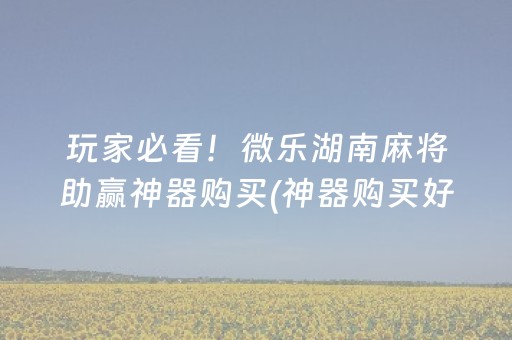 玩家必看！微乐湖南麻将助赢神器购买(神器购买好牌规律)