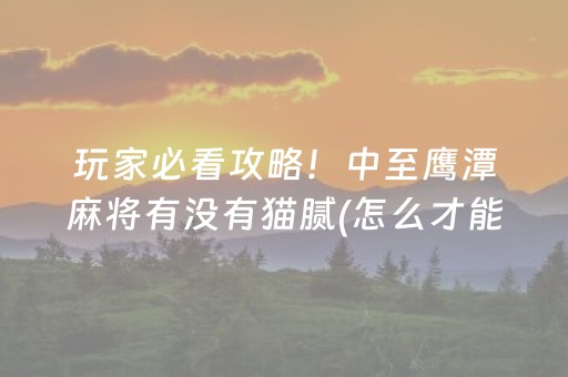 玩家必看攻略！中至鹰潭麻将有没有猫腻(怎么才能赢得多)