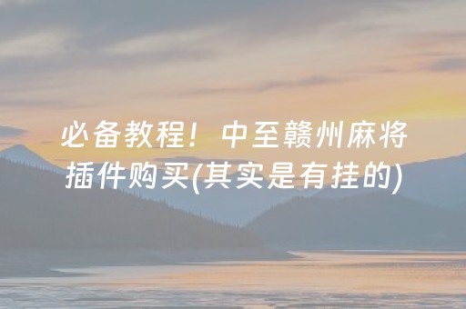 必备教程！中至赣州麻将插件购买(其实是有挂的)