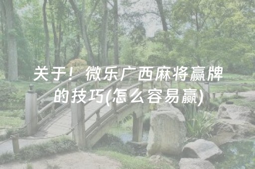 关于！微乐广西麻将赢牌的技巧(怎么容易赢)