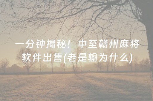 一分钟揭秘！中至赣州麻将软件出售(老是输为什么)