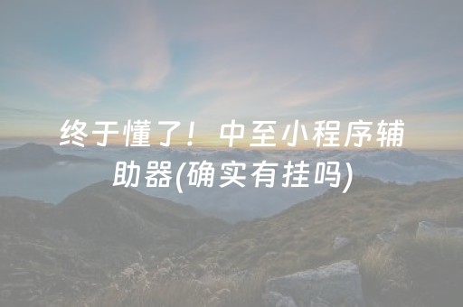 终于懂了！中至小程序辅助器(确实有挂吗)