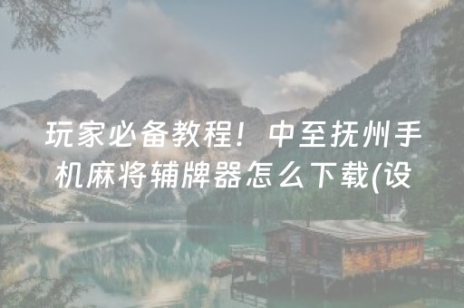 玩家必备教程！中至抚州手机麻将辅牌器怎么下载(设置提高好牌几率)