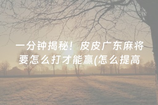 一分钟揭秘！皮皮广东麻将要怎么打才能赢(怎么提高胜率)