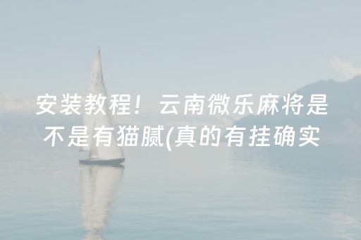 安装教程！云南微乐麻将是不是有猫腻(真的有挂确实有挂)