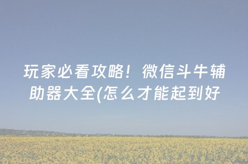 玩家必看攻略！微信斗牛辅助器大全(怎么才能起到好牌)