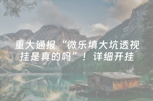 重大通报“微乐填大坑透视挂是真的吗”！详细开挂教程（确实真的有挂)-知乎