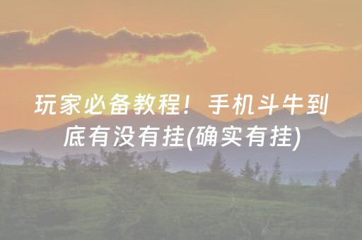 玩家必备教程！手机斗牛到底有没有挂(确实有挂)
