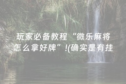 玩家必备教程“微乐麻将怎么拿好牌”!(确实是有挂)-知乎