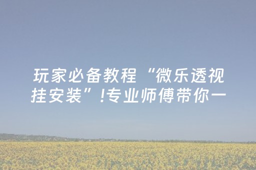 玩家必备教程“微乐透视挂安装”!专业师傅带你一起了解（详细教程）-知乎