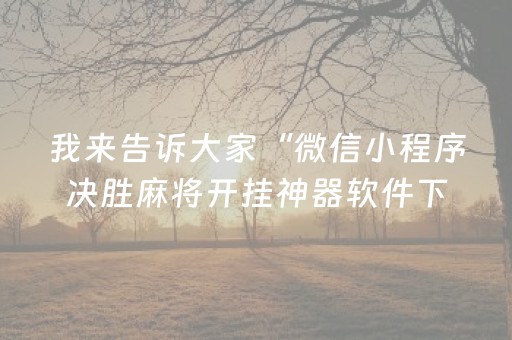 我来告诉大家“微信小程序决胜麻将开挂神器软件下载”(原来真的有挂)-知乎
