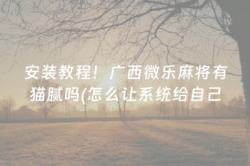 安装教程！广西微乐麻将有猫腻吗(怎么让系统给自己好牌)