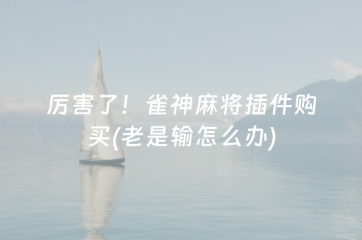 厉害了！雀神麻将插件购买(老是输怎么办)