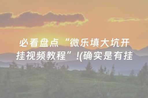 必看盘点“微乐填大坑开挂视频教程”!(确实是有挂)-知乎