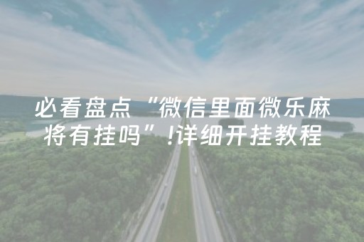 必看盘点“微信里面微乐麻将有挂吗”!详细开挂教程-知乎