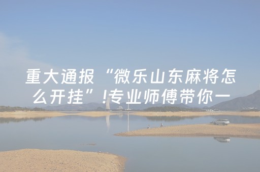重大通报“微乐山东麻将怎么开挂”!专业师傅带你一起了解（详细教程）-知乎