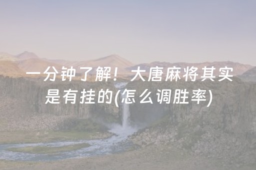 一分钟了解！大唐麻将其实是有挂的(怎么调胜率)