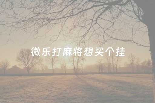 微乐打麻将想买个挂（微乐麻将有挂）