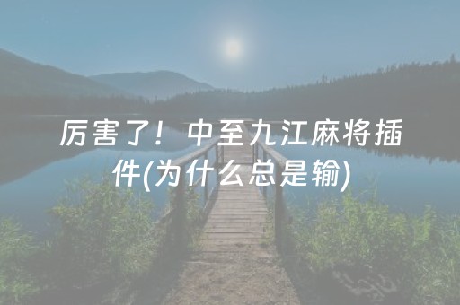厉害了！中至九江麻将插件(为什么总是输)
