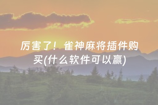 厉害了！雀神麻将插件购买(什么软件可以赢)
